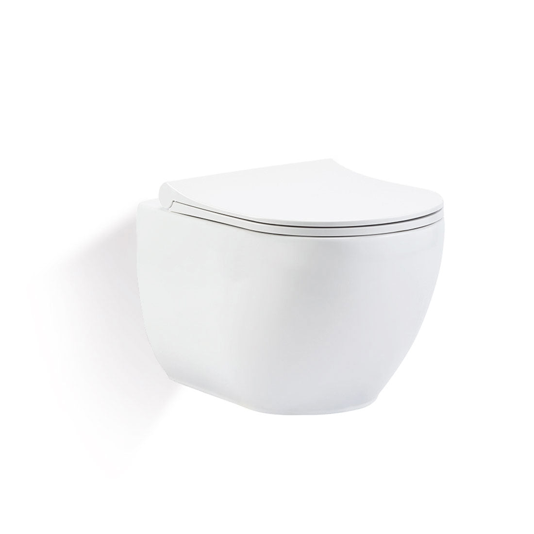 Park Hänge Wand WC Spülrandlos Toilette Weiß Glanz mit WC-Sitz