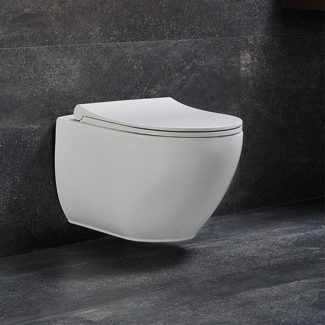 Park Hänge Wand WC Spülrandlos Toilette Weiß Glanz mit WC-Sitz